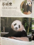 더쿠 - 비행기에서 만난 복수니🐼