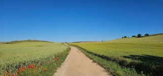 더쿠 - Ultreia et Suseia! 혼자 다녀온 산티아고 순례길 후기 (프랑스길) / 부르고스 - 까스뜨로헤리츠