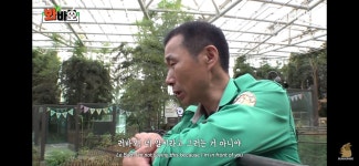 더쿠 - 진심을 흡수하는 러바오의 등판