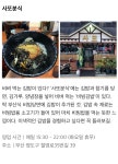 더쿠 - 부산에 가면 꼭 먹어야 하는 김밥집 BEST 9
