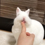 더쿠 - 아니 이때 ㄹㅇ 토낀데