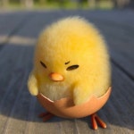 더쿠 - 요즘 소희 샤키피오 모에화 뜸한데