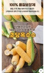 더쿠 - 제주 초당옥수수 미니사이즈 10개 무배