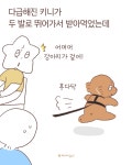 더쿠 - 푸들은 강쥐 중에서도 척추 구조가 조금 달라서