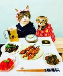 더쿠 - 🐱어서오세요 저녁에도 운영하는 고등어 식당 입니다~