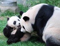 더쿠 - 루이 어제 엄마랑 진짜 재밌게 놀았다더니 ㅋㅋ