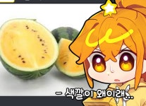 더쿠 - 나나양이랑 호무새 은근 케미 좋네