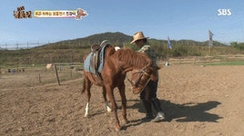 더쿠 - 동물농장 레전드) 연기하는 말, 실신 연기의 대가 진강이