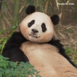 더쿠 - 아침에보면 기분좋은 푸바오짤들💛jpg