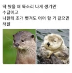 더쿠 - 딱 봐서 똑소리나게 생기면 수달, 조개뺏겨도 어어 할것 같으면 해달..이 실존하는 팬싸인회장.x