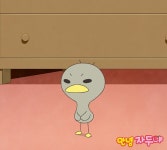 더쿠 - 왤케 라이즈 소희 안녕자두야에 너온 새같지