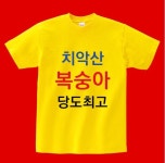 더쿠 - 제23회 치악산 복숭아 축제 개최