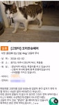 더쿠 - 파주 유기견 유기묘 입양 연쇄학대살해사건 범인 99년생 남자 (청원 링크있음)