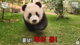 더쿠 - 오면 클남