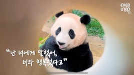 더쿠 - 아 북트레일러 보고 뒤늦게 즙짜는 중