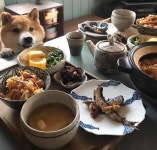 더쿠 - 🐶어서오세요 오후에만 운영하는 멍식당 입니다~