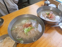 더쿠 - 봉구 추천 필동ㅁㅇ 오픈런 댕겨옴!