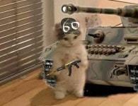 더쿠 - 60번 훈련병 지민이 보고싶다