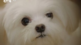 더쿠 - 연기대상 줘라 진짜