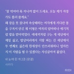 더쿠 - 내눈에띈개 개재밌다