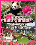 더쿠 - 푸바오 장미 입니다🌷🐼🌷