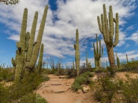 The Best Places to go Camping Around Saguaro National Park