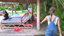 더쿠 - [지구오락실🕹] 어제자 지락실 어이없는 오마이걸 미미의 숨바꼭질 실력