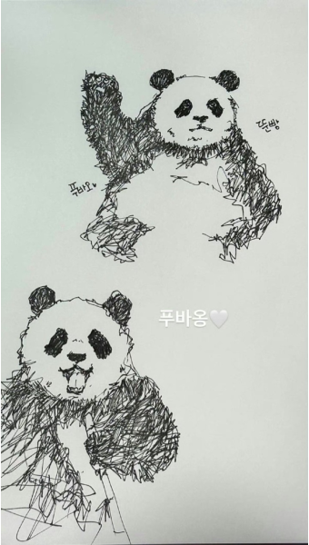 더쿠 - 레드벨벳 슬기가 그린 푸바오 그림과 원본