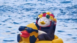 더쿠 - 시원한 풍경의 펭수 pc 배경화면 모음.zip