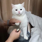 더쿠 - 8월8일은 세계다니엘의날!