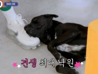 빼로 발베고누운거봐ㅠㅠㅠ - 뷔 카테고리