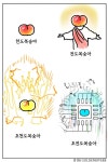 더쿠 - 천도 복숭아도 이제 한물 갔네