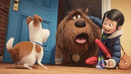 더쿠 - 7년전 오늘 개봉한, 영화 ‘마이펫의 이중생활 (The Secret Life of Pets)‘