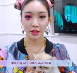 더쿠 - 강아지 공장에서 구조해온 강아지 임보했다가 완전히 키우는 듯한 청하.jpeg