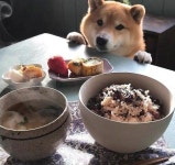 전체 게시판 - 🐶어서오세요 예약하신 손님 맞죠? ?? 전체 게시판 - &#x1f436;어서오세요 예약하신 손님 맞죠? ??