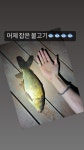 더쿠 - 피크타임 낚시 좋아하는 똥강아지🐶🐶 24시 작곤🩷