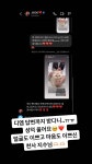 더쿠 - 블핑지수한테 디엠 답장 받은거 부럽다...
