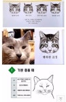 더쿠 - 많이들 오해하는 고양이 표정 원탑.jpg