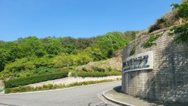 전체 게시판 - 도미야 상동은 이런 곳이야