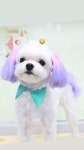 더쿠 - 태용 인스타스토리