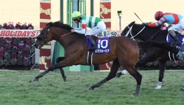 더쿠 - 그 누나밖에 아무것도 생각 안나(경주마)