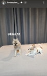 더쿠 - 정후 인스스 루아랑 까오 ⸝⸝ʚ̴̶̷ ̯ʚ̴̶̷⸝⸝