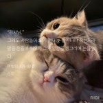 전체 게시판 - 2부 언제와 연우정김죠 언제와 ° •°(°`ㅁ´ °)°• °