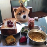 전체 게시판 - 🐶어서오세요 예약은 하셨나요?? 전체 게시판 - &#x1f436;어서오세요 예약은 하셨나요??