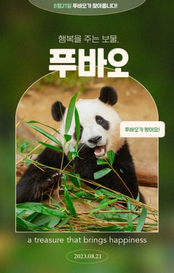 더쿠 - 텐바이텐 ＜푸바오와 함께 하는 2024 시즌그리팅＞ 8/21 오픈