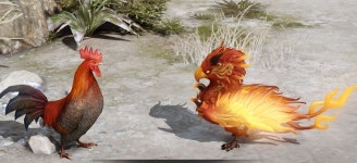 더쿠 - 불닭이와 치킨