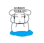 더쿠 - 울 강아띠 출국😭