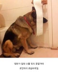더쿠 - [지구오락실🕹] 어제자 지락실 어이없는 오마이걸 미미의 숨바꼭질 실력