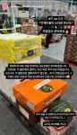 전체 게시판 - 아 개웃겨