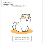 더쿠 - 한밤중에 억지로 댕댕이 산책 데려간 만화